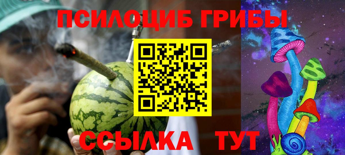 Галлюциногенные грибы MAGIC MUSHROOMS  Вход с VPN  купить   Джанкой 