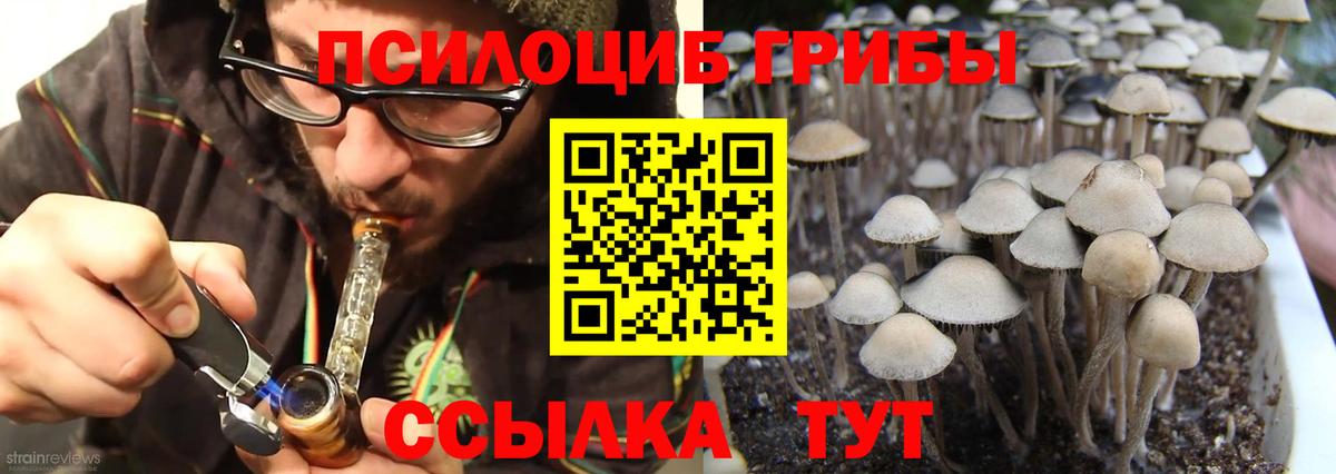 Галлюциногенные грибы Magic Shrooms Джанкой